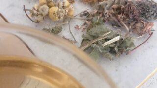 ハーブティーの保存方法と、おいしく飲める期間
