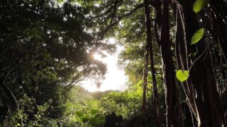 「疲れが取れない」と感じるとき、暮らしで見直したこと